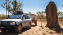 Termite Mound Litchfield National Park