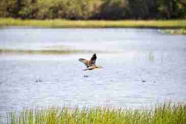 Kakadu National Park and Arnhem Land Wildlife Tours