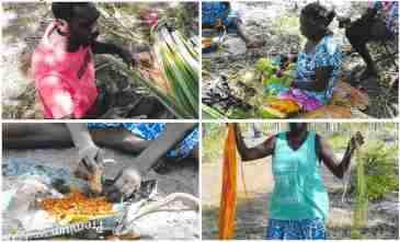 An Arnhem Land Tour into Gapuwiyak