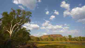 Information about visiting ​Anbangbang Billabong in Kakadu