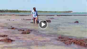 Environmentally Sustainable Tourism