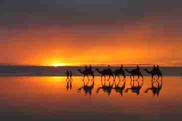 Kimberley Tours from Darwin, Kununurra and Broome in 2019