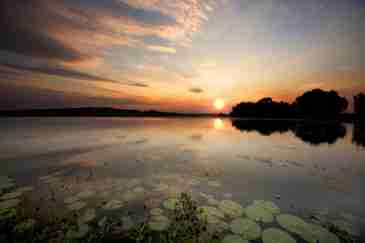 ​Which is the best Yellow Water Cruise?