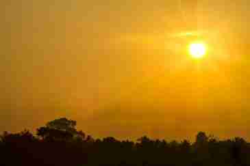 Tips to avoid dehydration