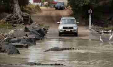 All you need to know about Cahills Crossing