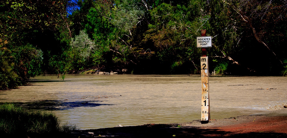 cahilss-crossing-crocodiles