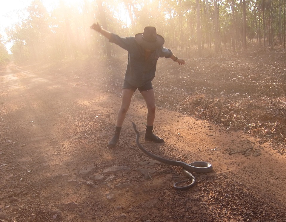 snake-catcher-arnhem-land
