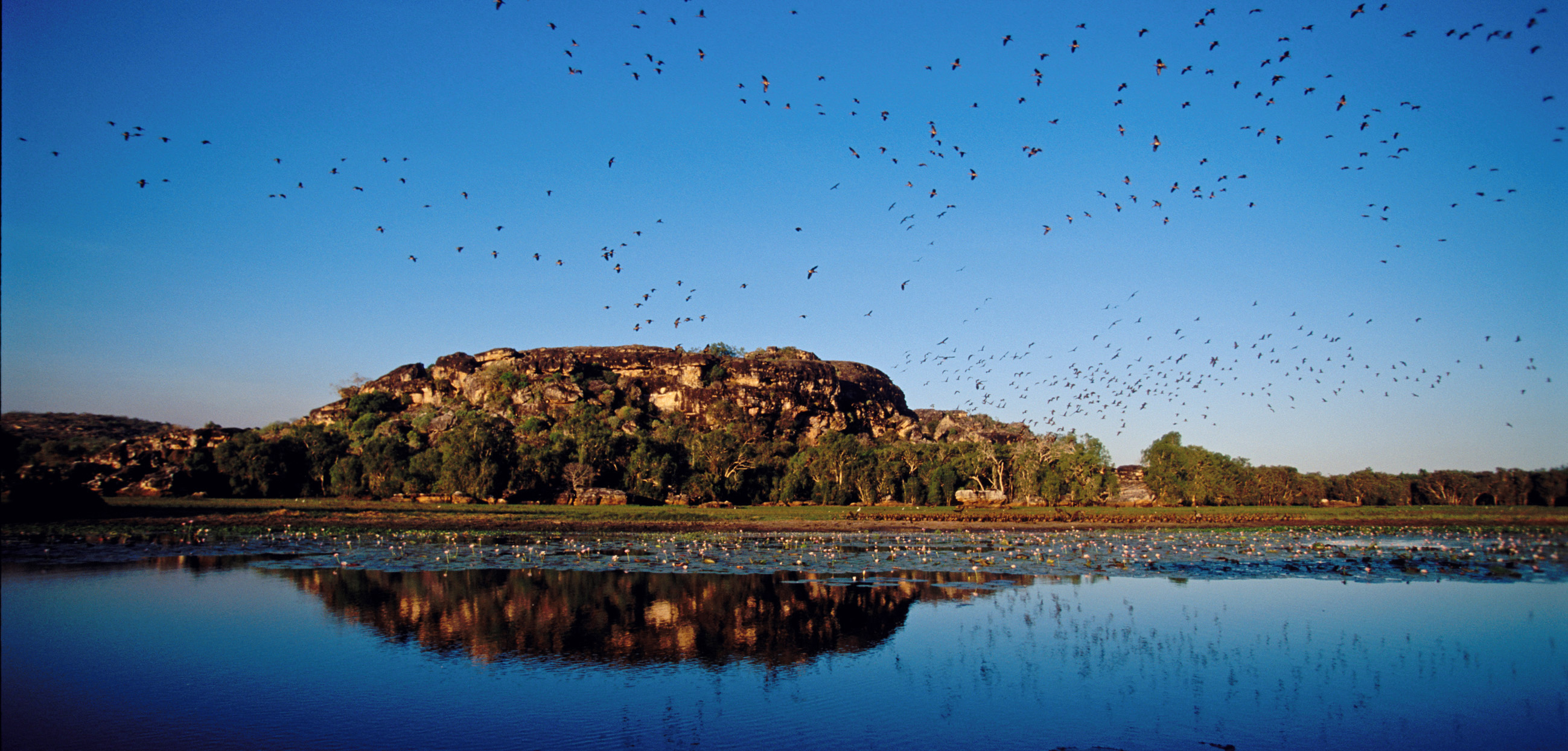 mt-borradaile-arnhem-land-tours