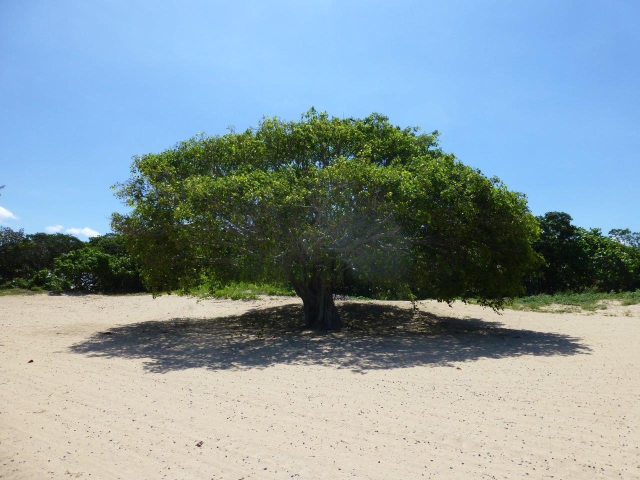 east-arnhem-land-tour