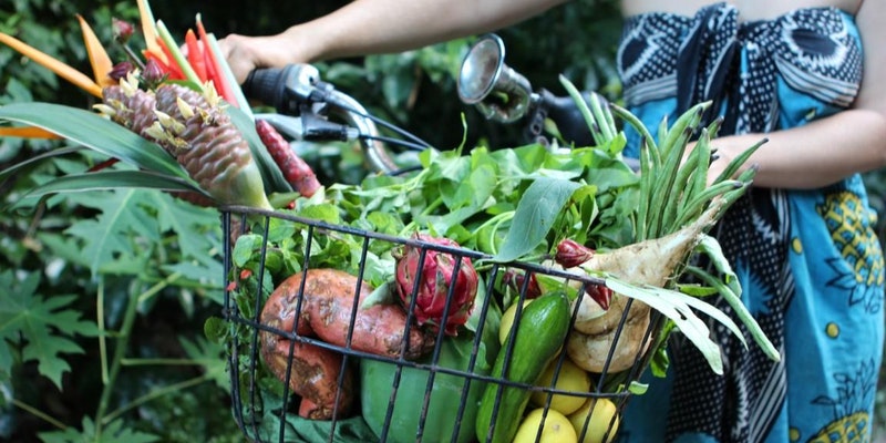 rapid-creek-markets-darwin