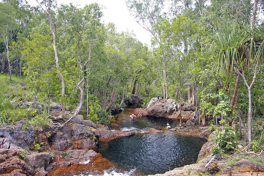 buley-rockhole-litchfield-national-park