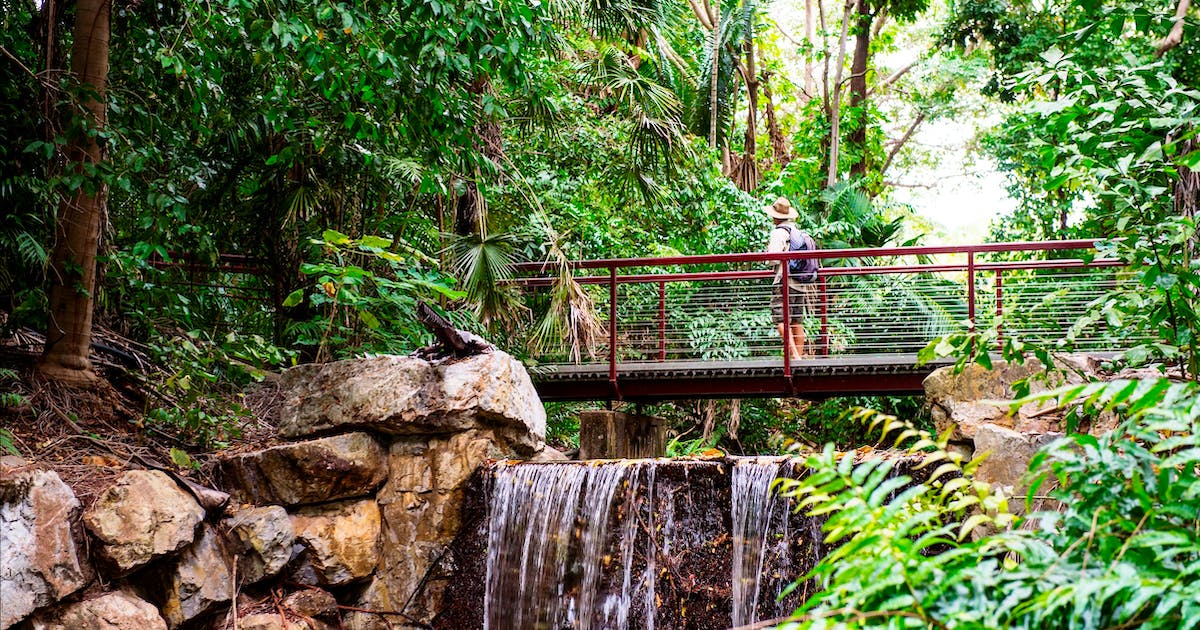 darwin_botanical_gardens_wet_season