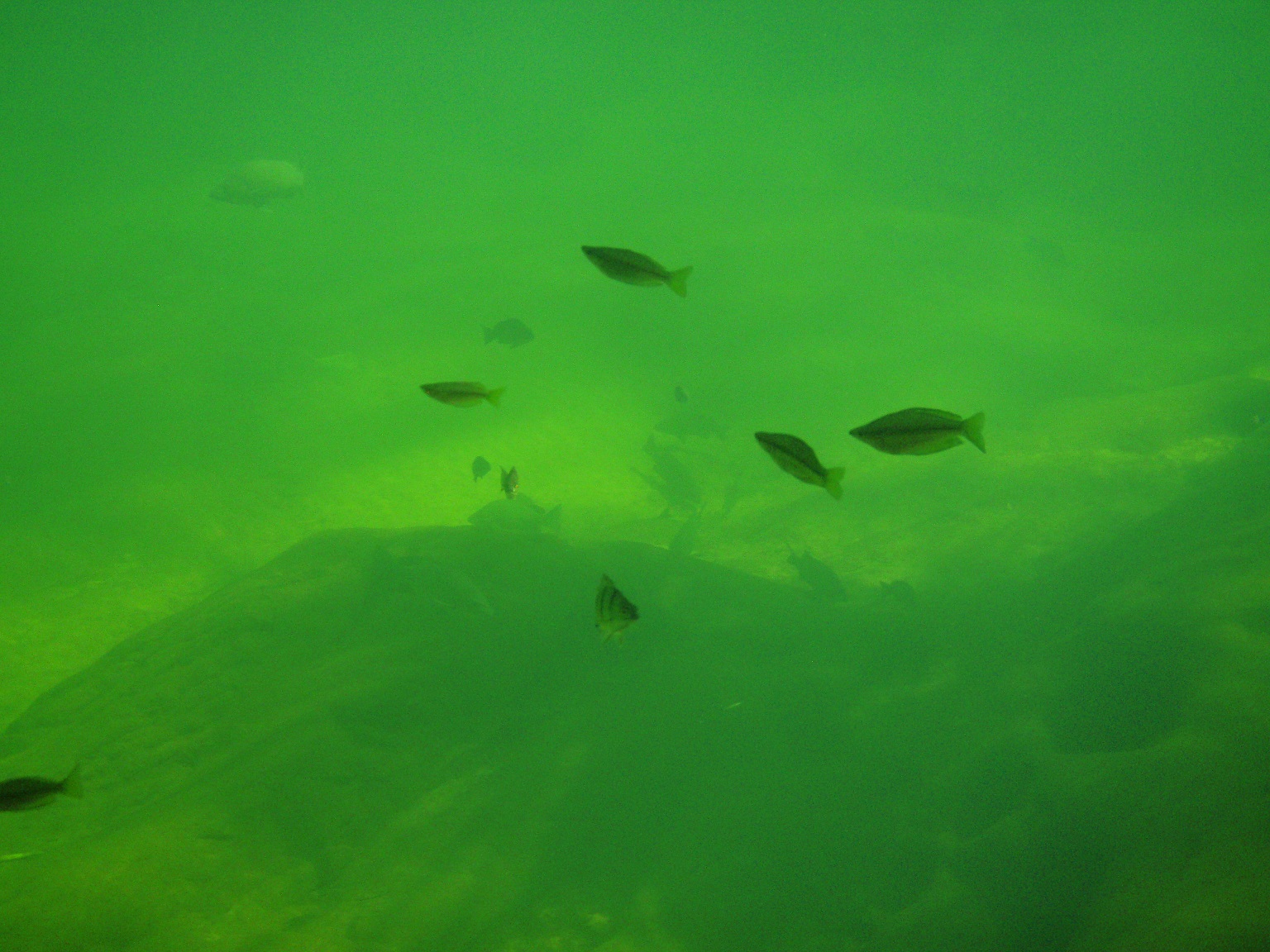 gunlom-falls-kakadu-rock-pools