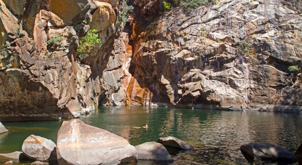 yurmikmik-walks-a-wet-season-favourite-in-kakadu