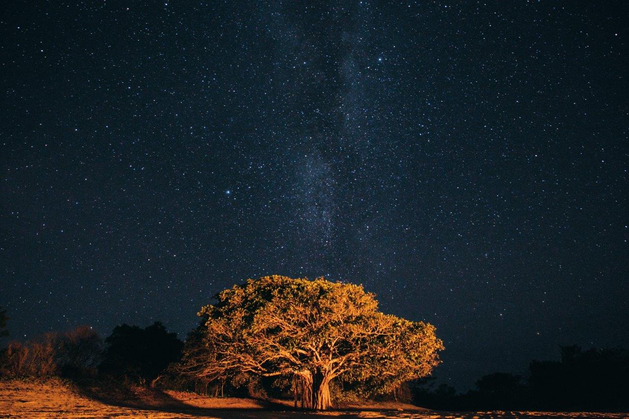 6-day-east-arnhem-land-tour-from-darwin-bush-camping