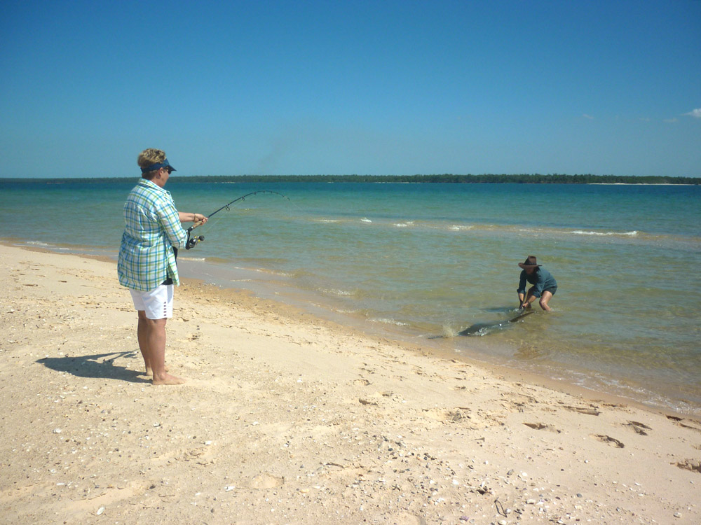 sawfish-rescue-cobourg