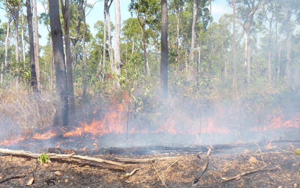 when-to-visit-darwin-kakadu-burnoff